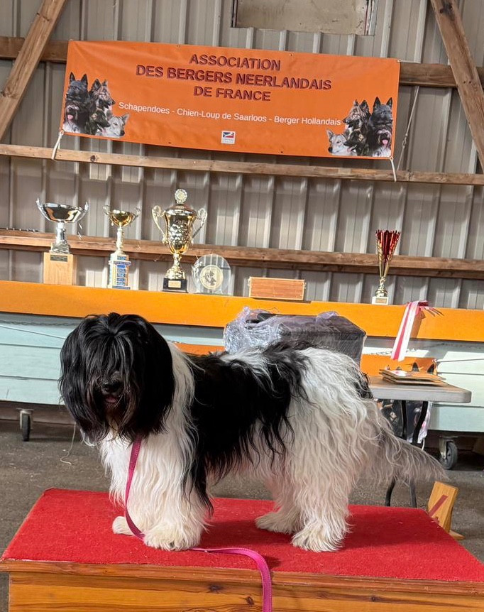 NATIONALE D ÉLEVAGE À CERILLY