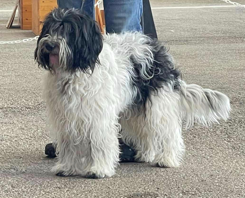 NATIONALE D ÉLEVAGE À CERILLY