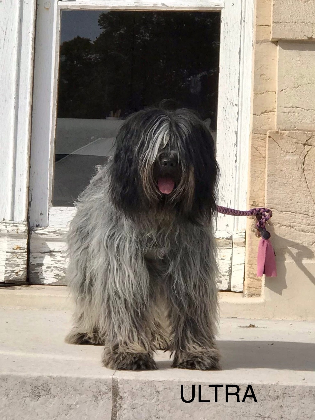 PROCHAINE PORTÉE PRÉVUE AU PREMIER TRIMESTRE 2026