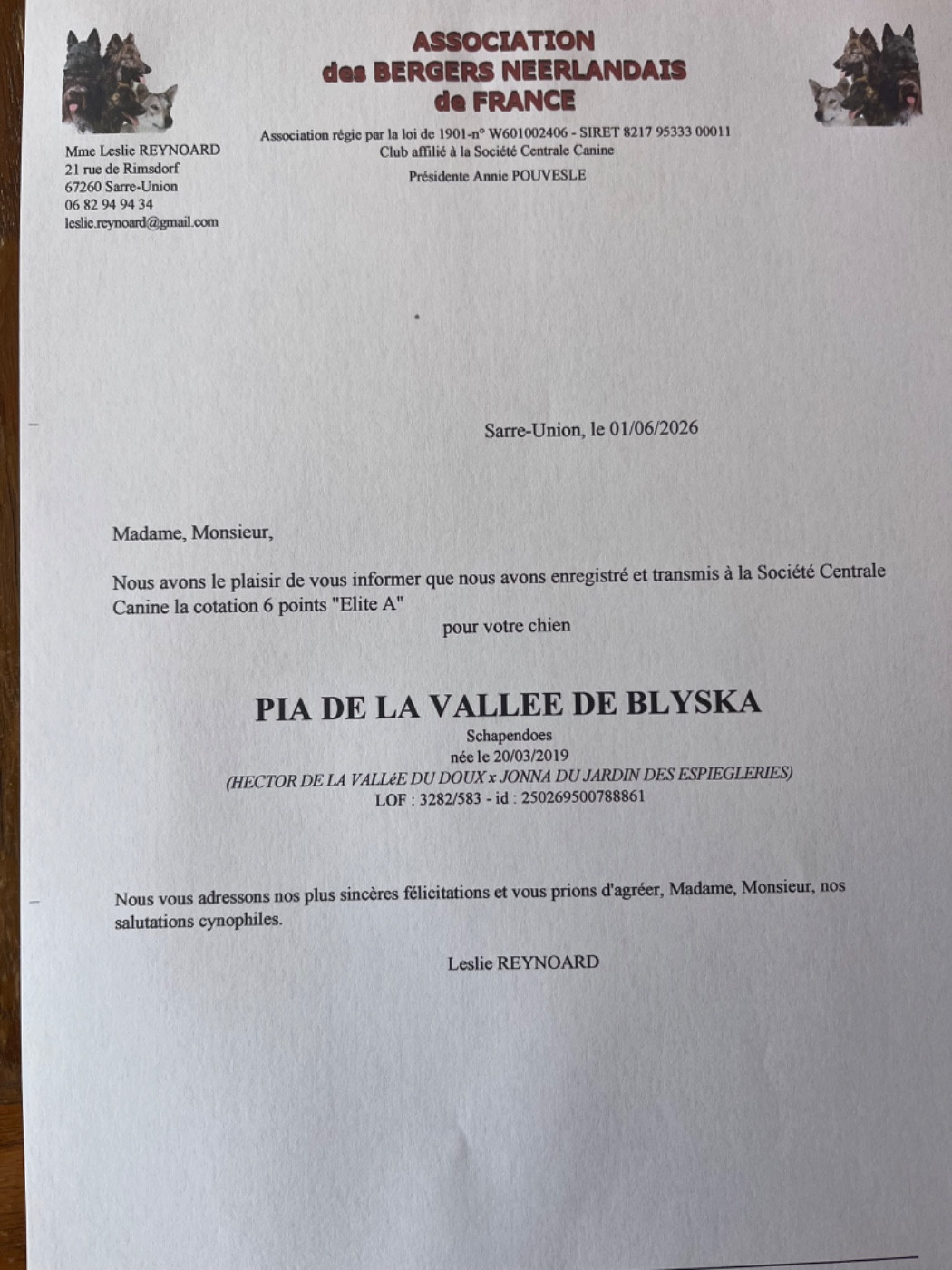 PIA DE LA VALLÉE DE BLYSKA COTATION 6